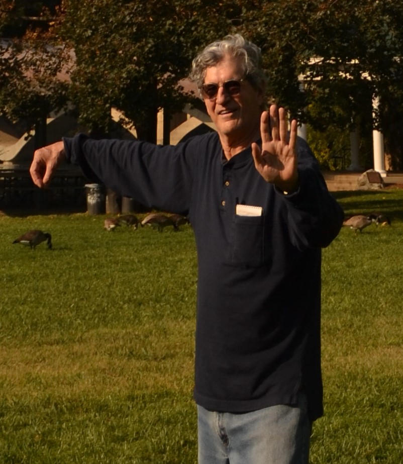 Iraja Siva-Das, Board Vice-President